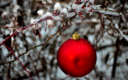 Outdoor Christmas III. - wallpaper, winter, xmas, abstract, hd, christmas, christmas ornaments, decoration, holiday, photography, nature, branch, snow