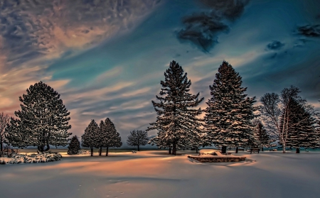 Winter Splendor