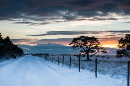 *** Winter *** - nature, sky, trees, snow, winter