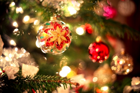 Christmas - christmas, bokeh, christmas tree, christmas balls, magic christmas, balls, xmas, merry christmas