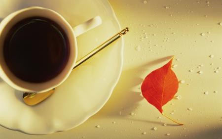 Still Life - leaf, coffee, cup, beautiful