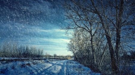 snow showers over winter road - showers, trees, road, snow