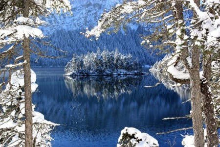 *** Winter lake *** - snow, lake, trees, nature