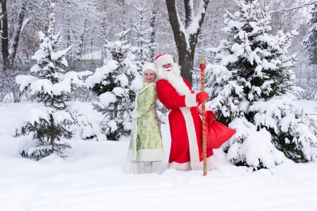 *** Merry Christmas *** - santa, winter, nature, winterforest snow, claus