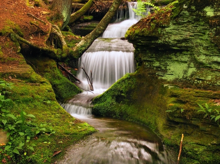 Peaceful Waterfall - nature, flowing, forest, peaceful, water, moss, waterfall, plants