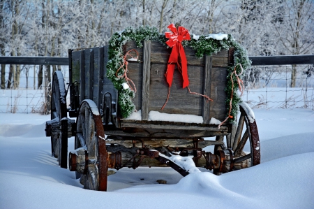 Christmas - pretty, snow, photo, happy, holiday, merry christmas, nice, winter, decoration, beautiful, balls, photography, lovely, christmas, colorful, new year, cold, background