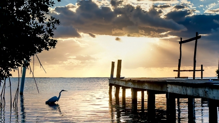 heron by a lake wharf - clouds, bird, sun rays, wharf, lake