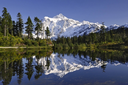 Picture Lake - lake, forest, fun, nature, mountain