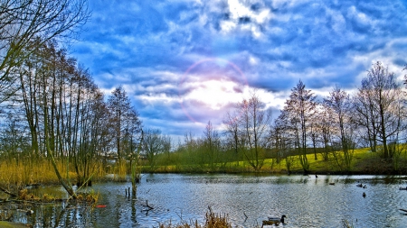 sun halo over ducks in a pond - clouds, trees, pond, halo, ducks, sun