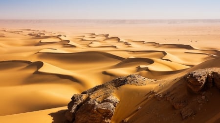 wind blown sand dunes in the desert - dunes, wind, desert, caravan, rocks