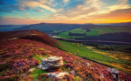 Colorful - clouds, trees, fields, beautiful, flowers, colorful, nature, green, pink flowers, sky, rocks