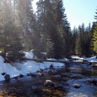 wonderful river in winter