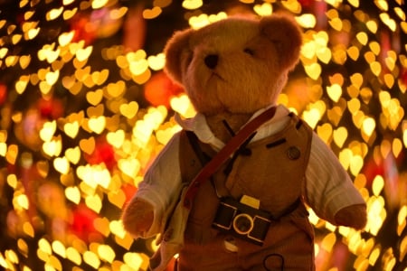 Teddy bear - photo, toy, bear, teddy bear