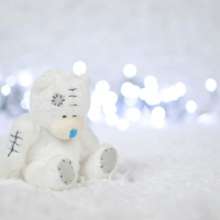 White teddy bear