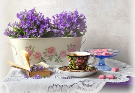 Still life - nature, purple, flowers, softt