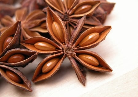 Starry Anise - christmas, starry anise, pinions, spice, anise, food, fruit