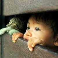 Hello !!