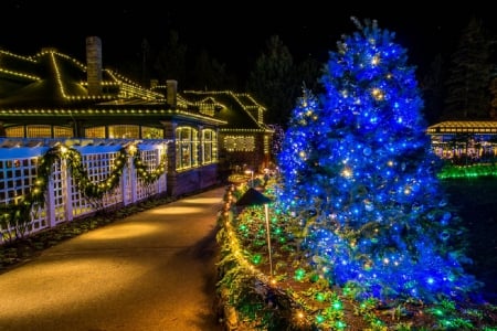 Christmas - nice, new year, photography, colorful, balls, pretty, cold, holiday, background, winter, lovely, christmas, merry christmas, snow, beautiful, photo, decoration, happy