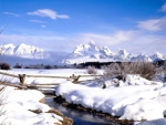 wyoming in winter