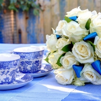 white roses with cups