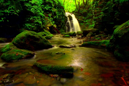 FOREST WATERFALLS - waterfalls, nature, green, flow