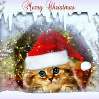 â˜…Christmas Kittyâ˜…