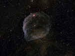 Sharpless 308 Star Bubble