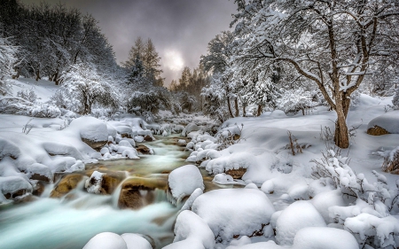 Winter Scene - waterfall, winter, trees, snow