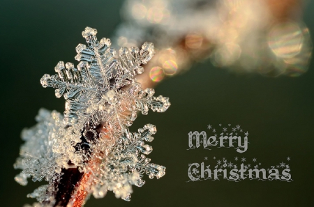 Christmas - pretty, snow, photo, happy, holiday, merry christmas, nice, winter, decoration, beautiful, balls, photography, lovely, christmas, colorful, new year, cold, background