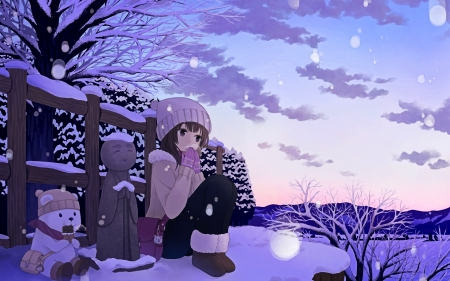 Anime - sky, girl, snow, winter, anime