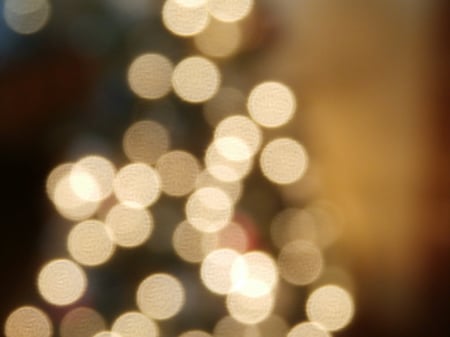 Christmas Tree Lights - christmas, pretty, blur, lights, tree, lens