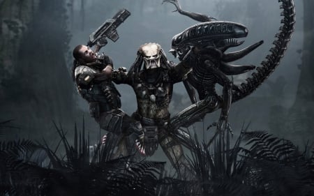 Aliens vs Predator - graphics, 3d, aliens, predators, video games, characters