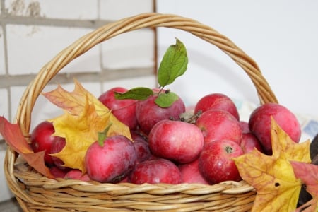 *** Apples *** - basket, apples, nature, fruits