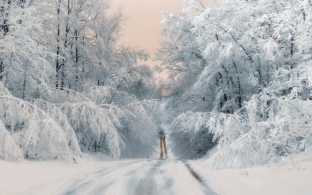 Say Goodbye To Winter - abstract, cg, wp, winter