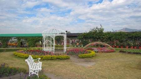 Lovely garden - chair, drummer, white cloud, blue sky, lovely, garden