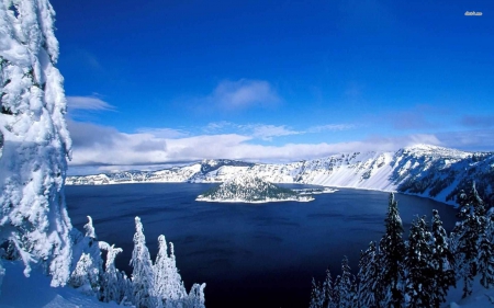 Crater Lake, Oregon - landscape, trees, snow, winter, water