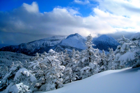 WINTER - sky, winter, hills, frost, trees, nature, snow