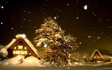 SNOWY NIGHT - winter, houses, light, tree, night, cottages, snow