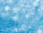 Winter Snowflakes