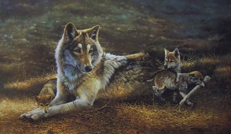 Wolves Family - watch, mother, young, wolves