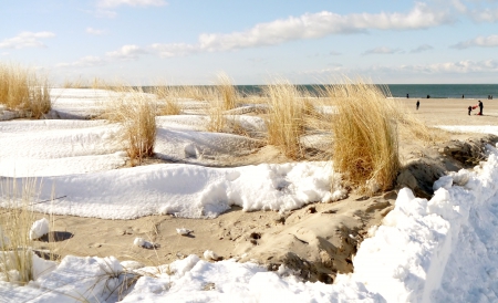 Snowy Beach - snow, beauty, winter, beach