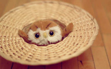 Nest for an owl toy