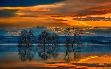 magnificent sunset over a lake - lake, trees, sunset, reflection