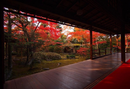 Daihoin Myosinji Temple - autumn, japan, shrine, japanese, garden, kyoto, temple, indoor