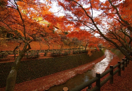 Kitanotenmangu Shrine - river, japan, autumn, garden, kyoto, tree, japanese