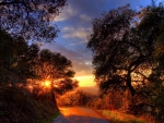 road bending towards a sunset