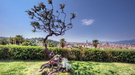 gorgeous view of florence italy hdr - sky, lawn, view, flowers, city, tree, hdr