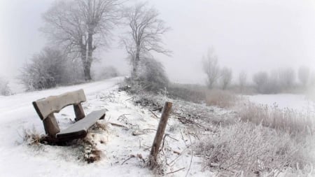 Winter Resting Place - river, trees, landscape, snow, bench