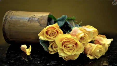 Yellow Roses - beauty, nature, passion, roses, lovely, yellow roses