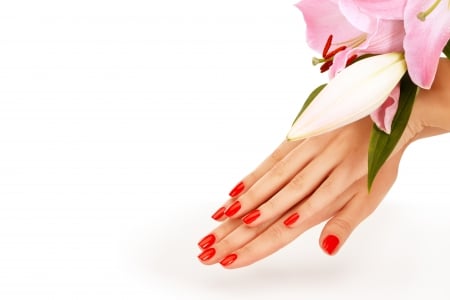 Manicure - fingernails, manicure, lilies, flowers, hands